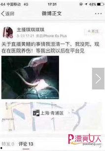 女主播鳝鱼ftp,揭秘女主播背后的神秘世界